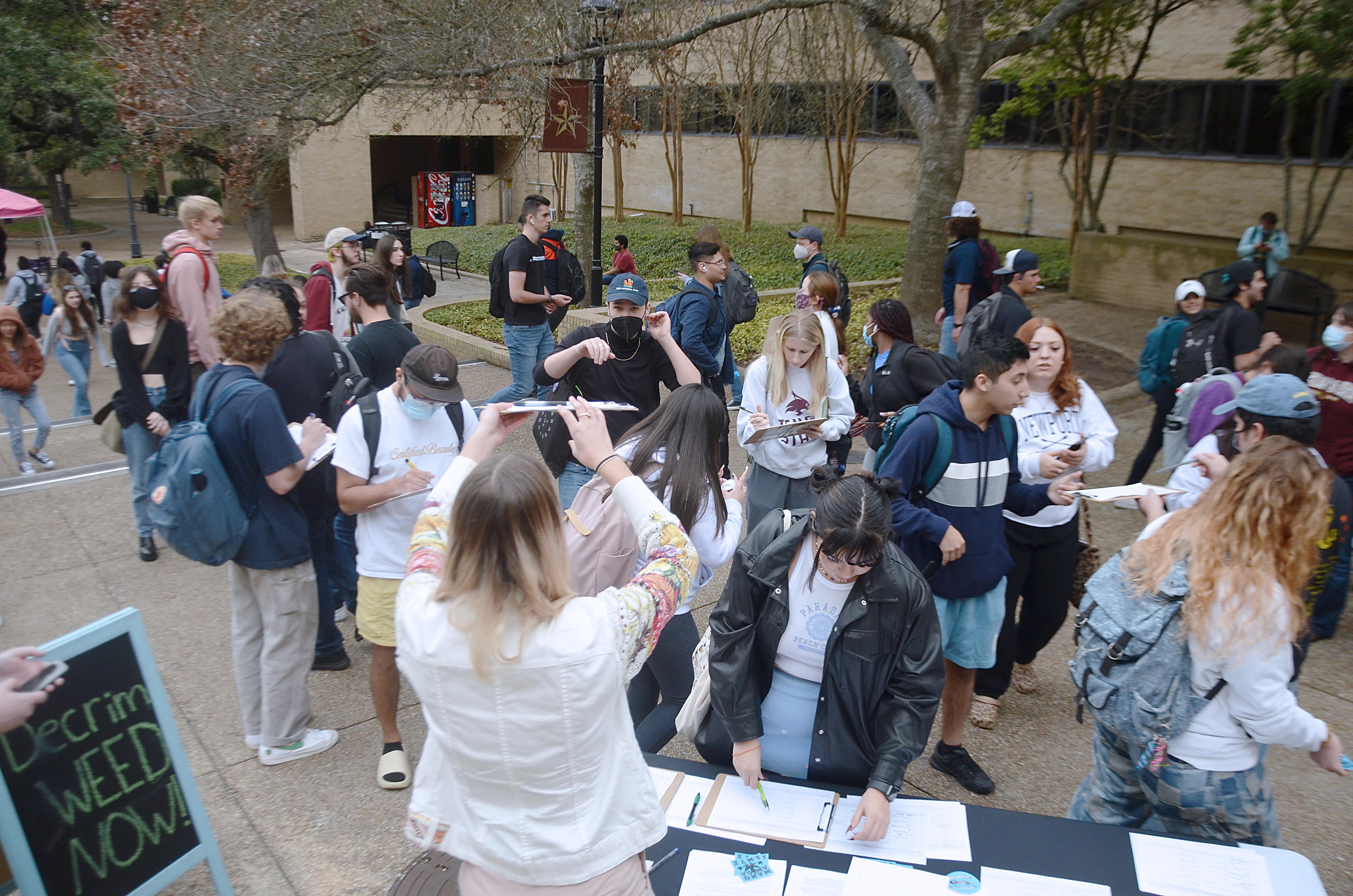 Efforts to decriminalize marijuana in San Marcos underway San Marcos