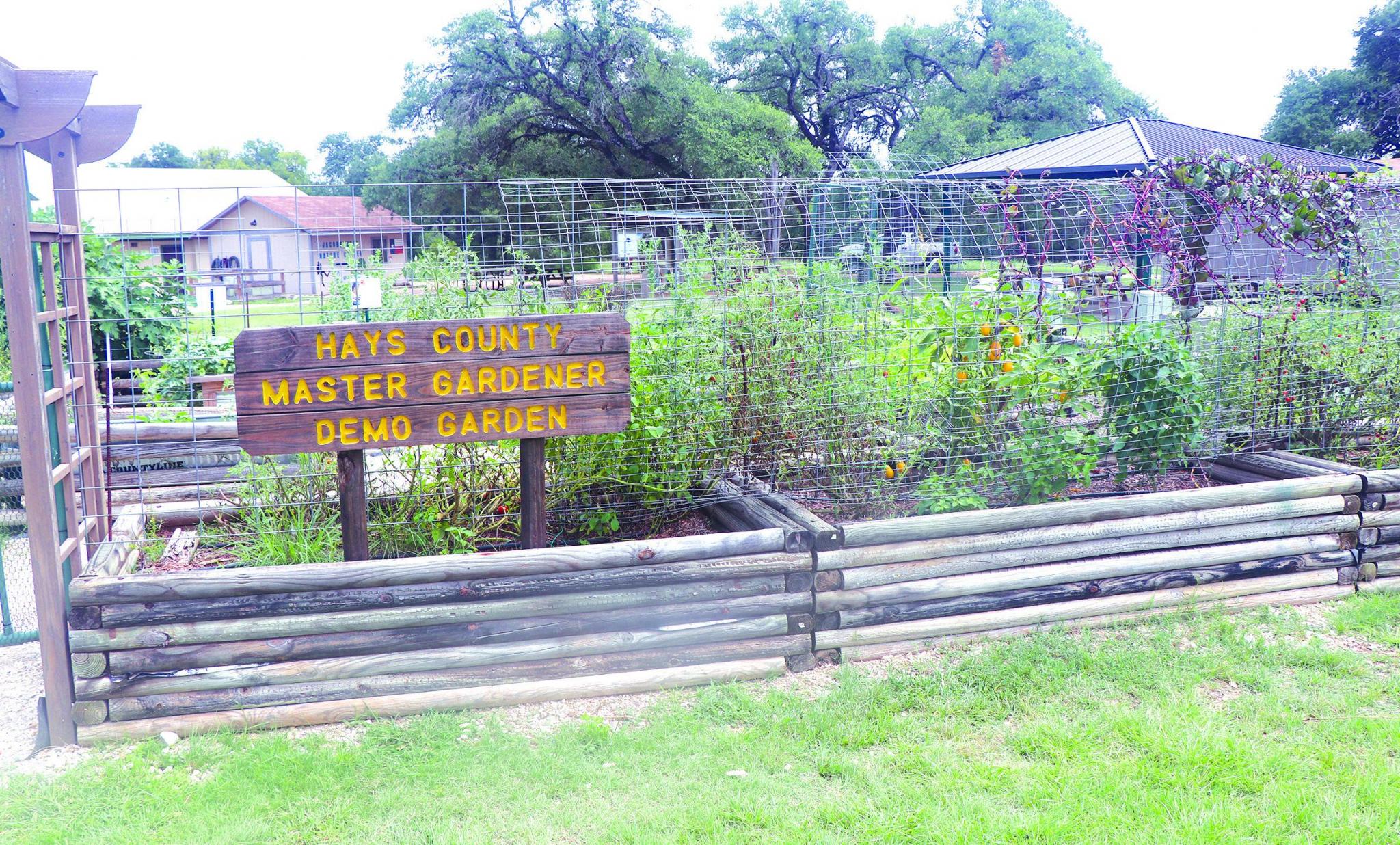 Hays County Master Gardeners to offer Fall training class